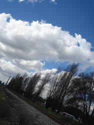 stars by strangeface