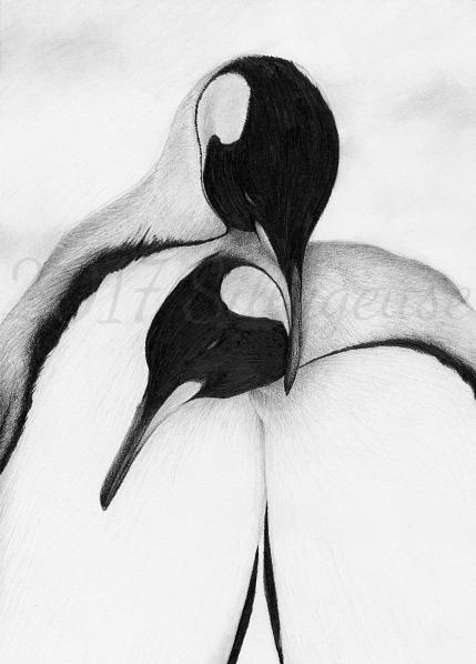 King penguins (pencil drawing) by Sillageuse