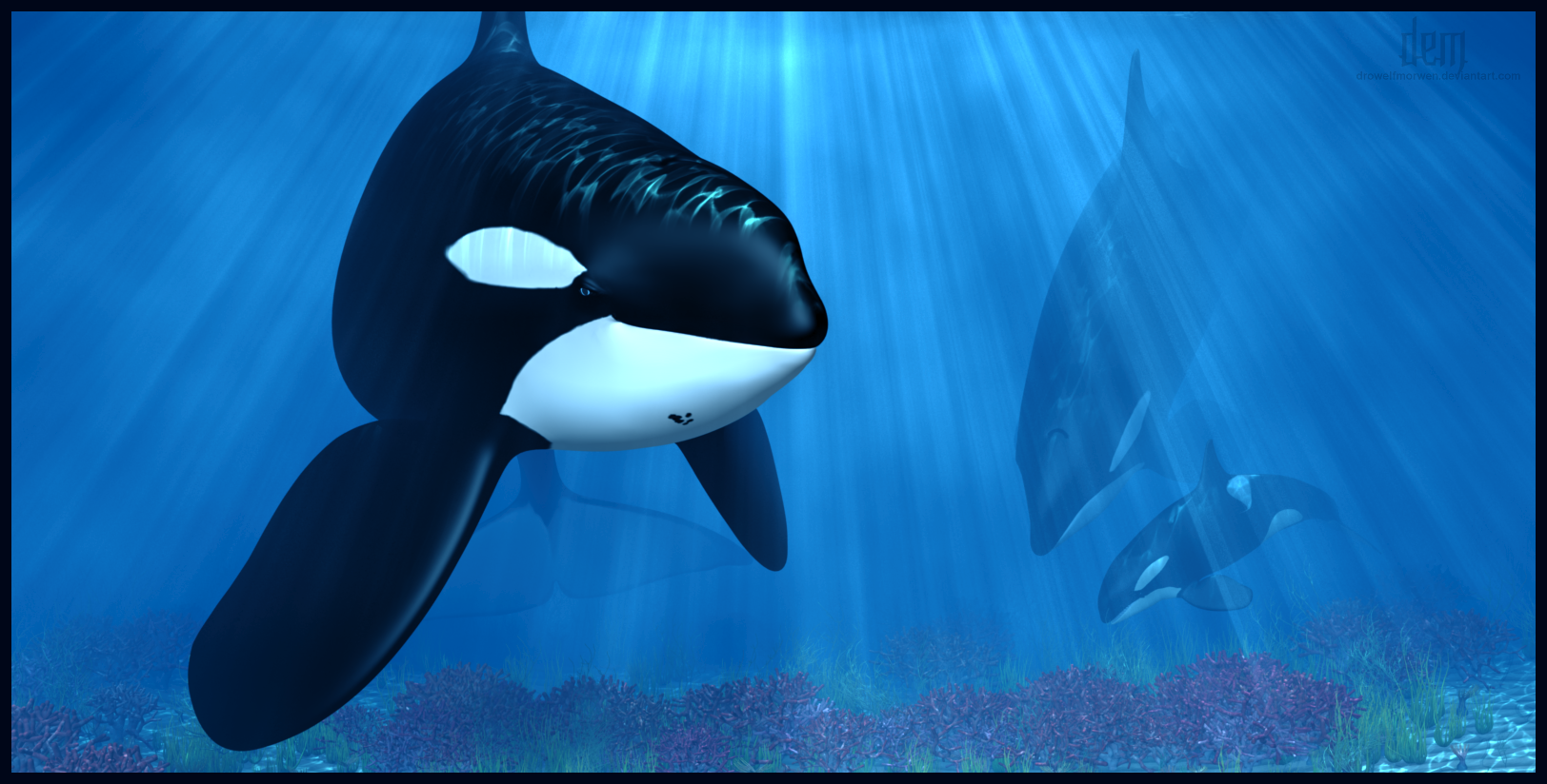 Tidal Wave the Orca by DrowElfMorwen