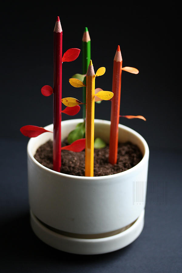 sustainable development by Truesome