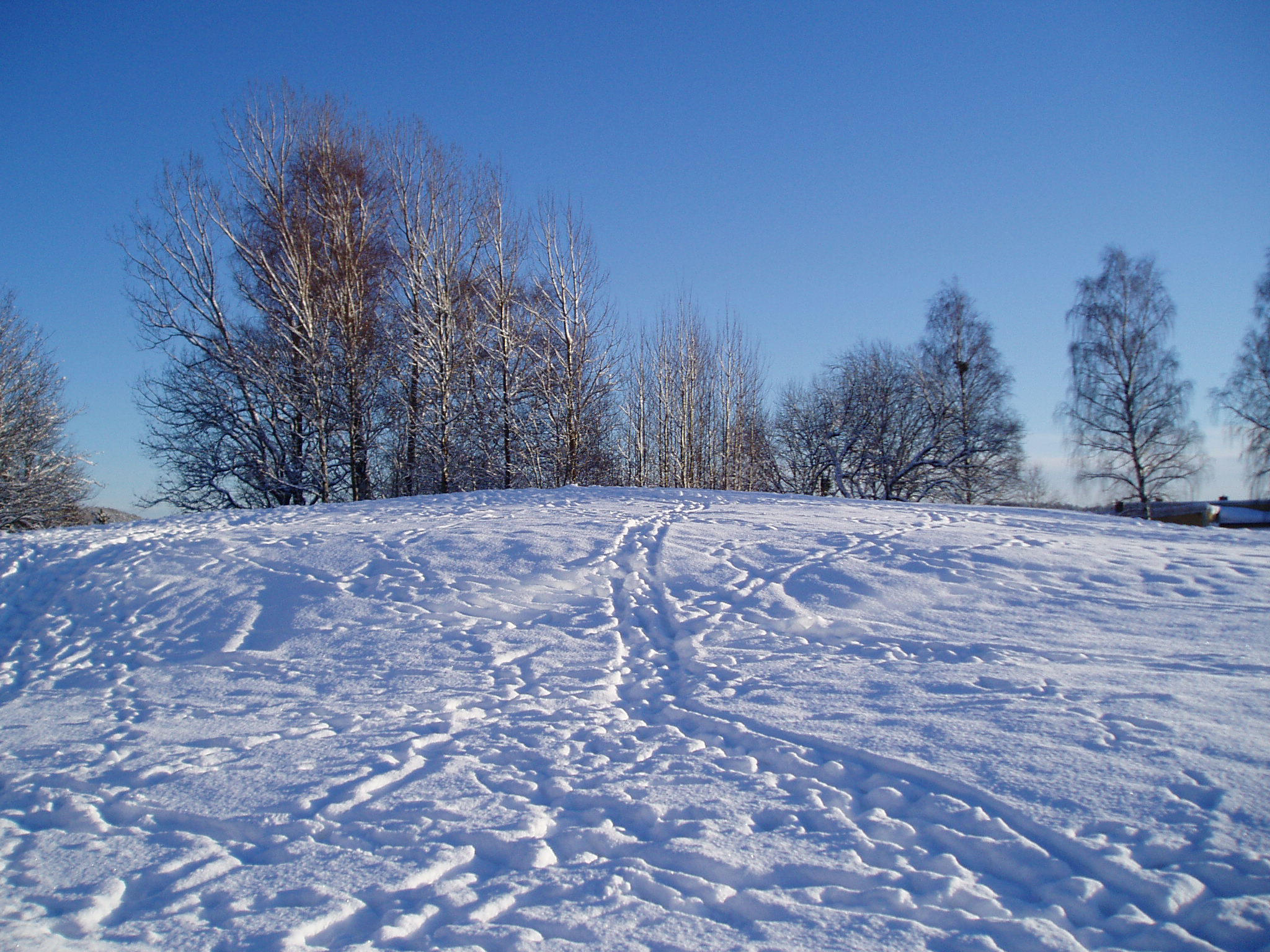 Winter 54 by KarinClaessonArt
