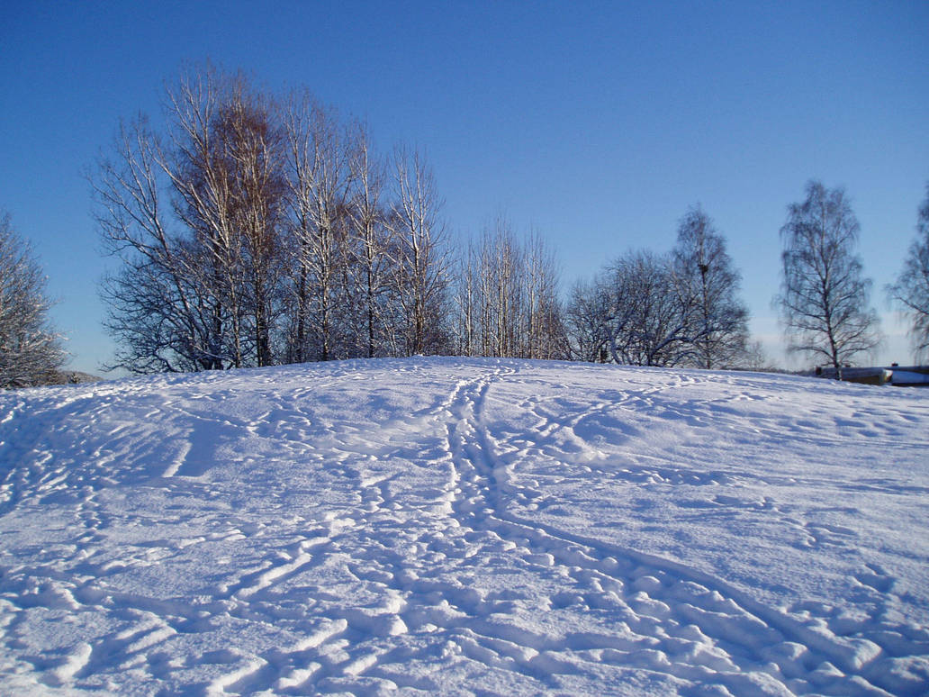 Winter 54 by KarinClaessonArt