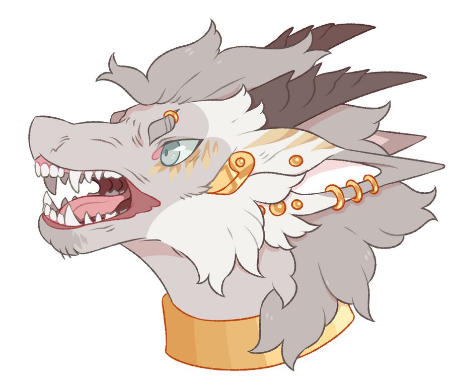 {Personal} Grr by X88B8