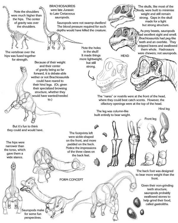 Sauropod Tutorial by Droemar