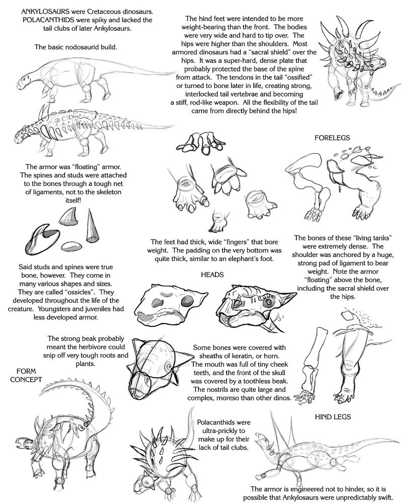 Ankylosaur tutorial by Droemar