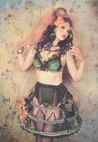 Rehearsed Reveries by girltripped