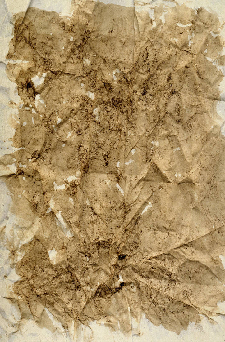 Coffee Paper4 by AbigelStock