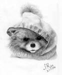 Pomeranian by ZW1138