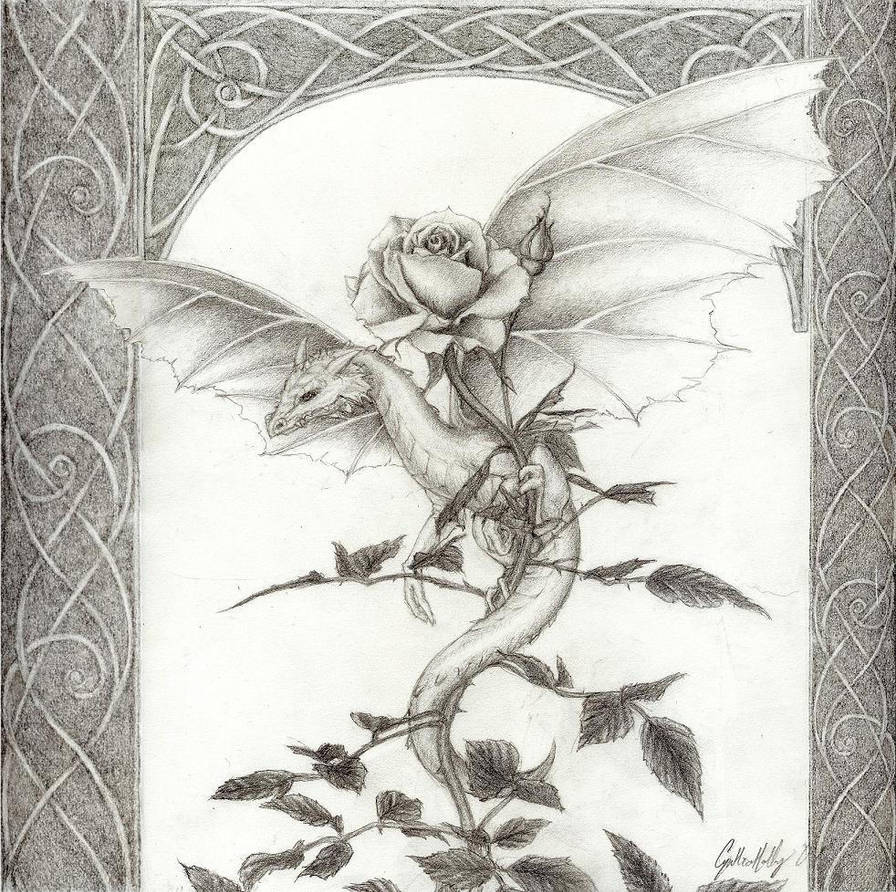 Dragon Rose -pencil by artaddict on DeviantArt