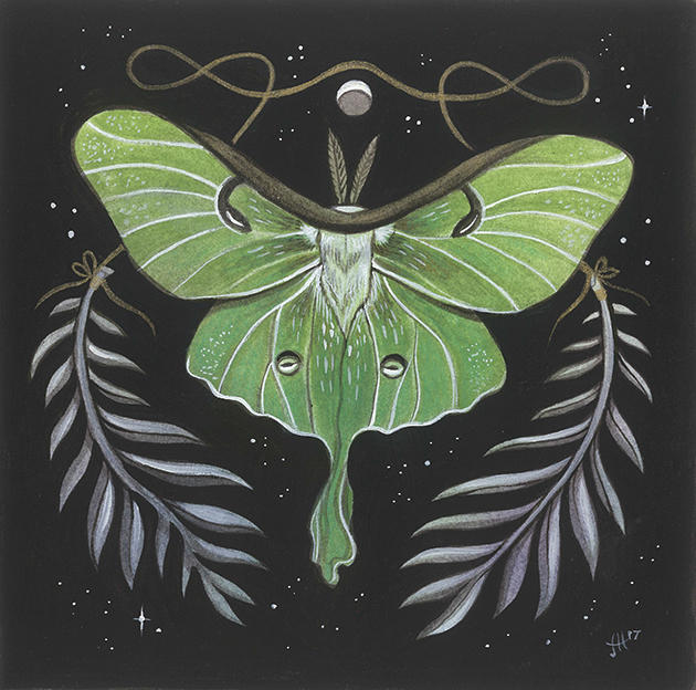 Luna Moth by JillHoffman