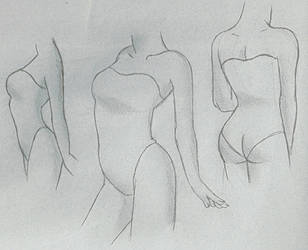 Female Torso Tutorial by venominon