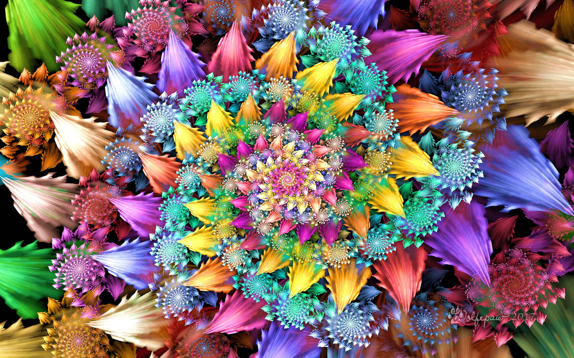Rose Rosoni Spiral by wolfepaw Rose Rosoni Spiral by wolfepaw
