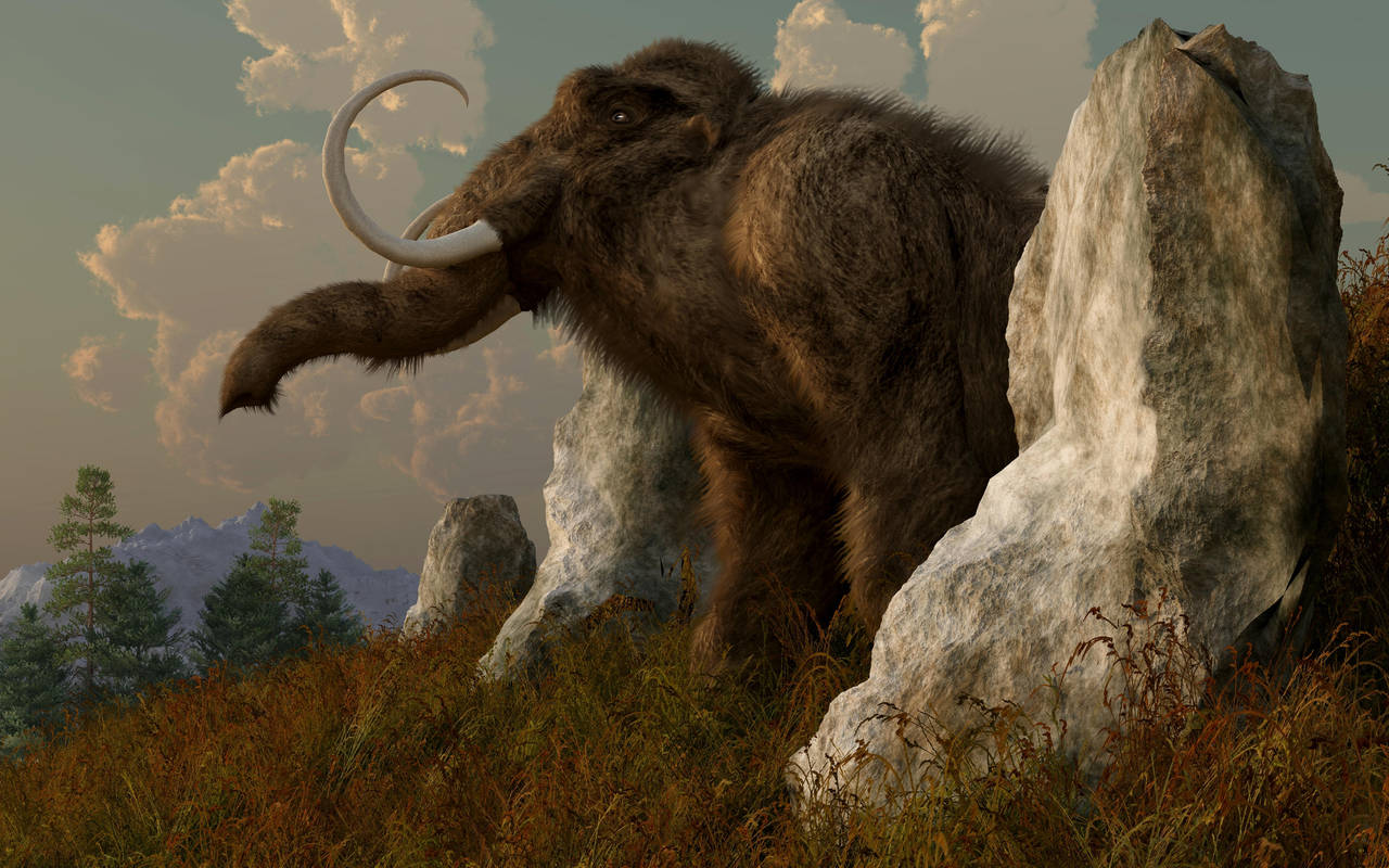 A Mammoth on Monument Hill by deskridge