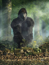 Gorilla by deskridge