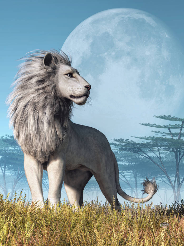 White Lion and Full Moon by deskridge White Lion and Full Moon by deskridge