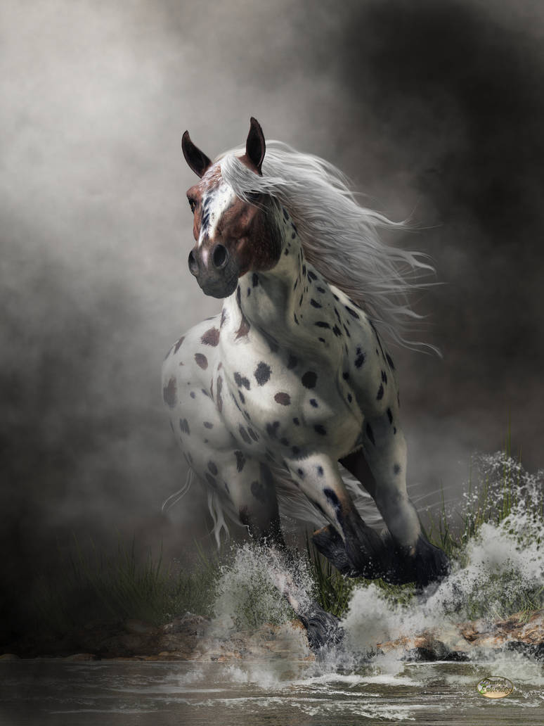 appaloosa by deskridge on