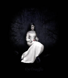 the fragile by lady-alessandra