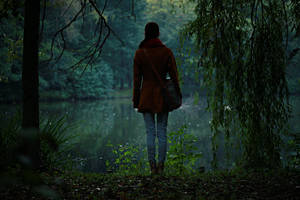 The traveller by Econita