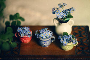 tiny cup of spring by Econita