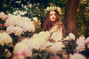 flowery land by Econita