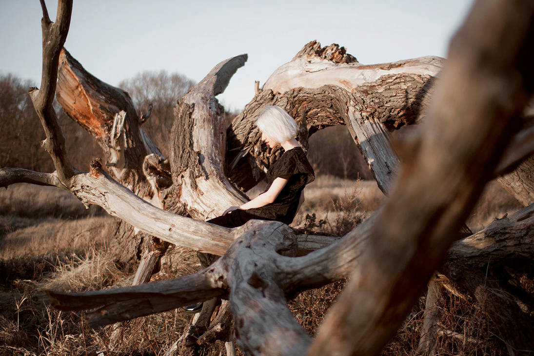 The Mammoth's Skeleton by Econita