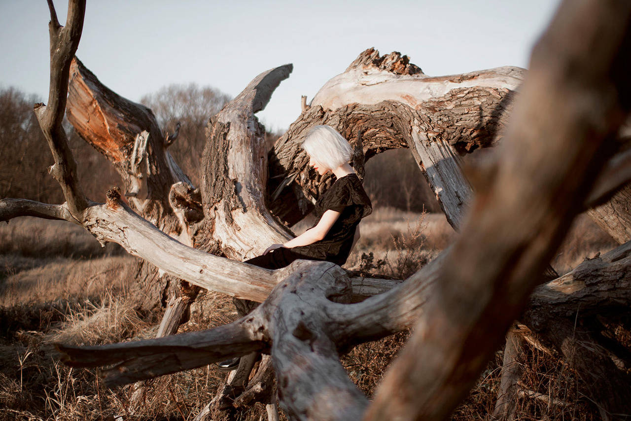 The Mammoth's Skeleton by Econita