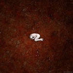 Isolation by hellmet