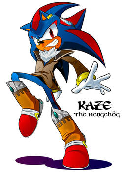 Kaze the Hedgehog Mobius Style by LiyuConberma