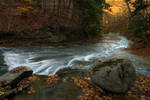An Oasis of Serenity 8260 by Sooper-Deviant