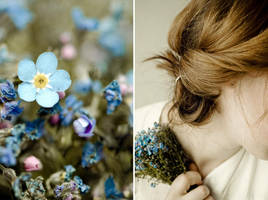 echolot by quadratiges