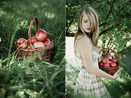 vergers by quadratiges