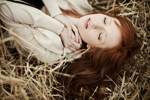 shelter by quadratiges