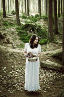 of fairies by quadratiges