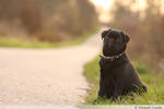 on the road again I by lovable-moments