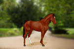 Landschon IS - Lease Reference by Trz-125