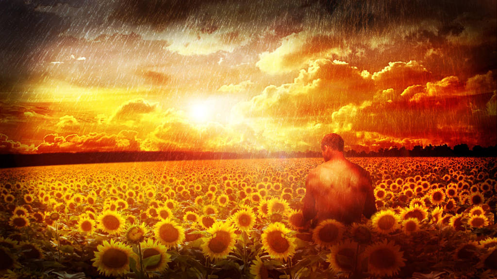 Sunflower by Every7thHeartbeat