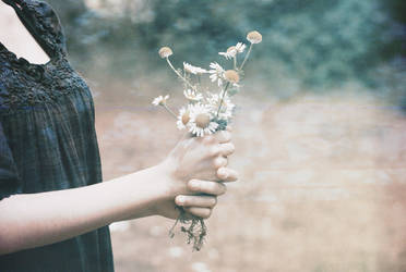 Marguerite by 0lalaa