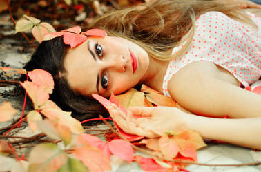 Behind the Lights. by 0lalaa