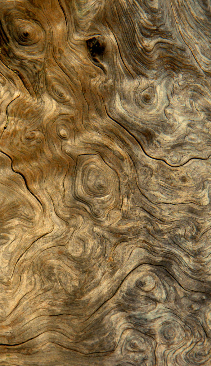 Wood Stock 1 by Moonchilde-Stock