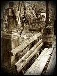 Land of the Dead by Lestatis