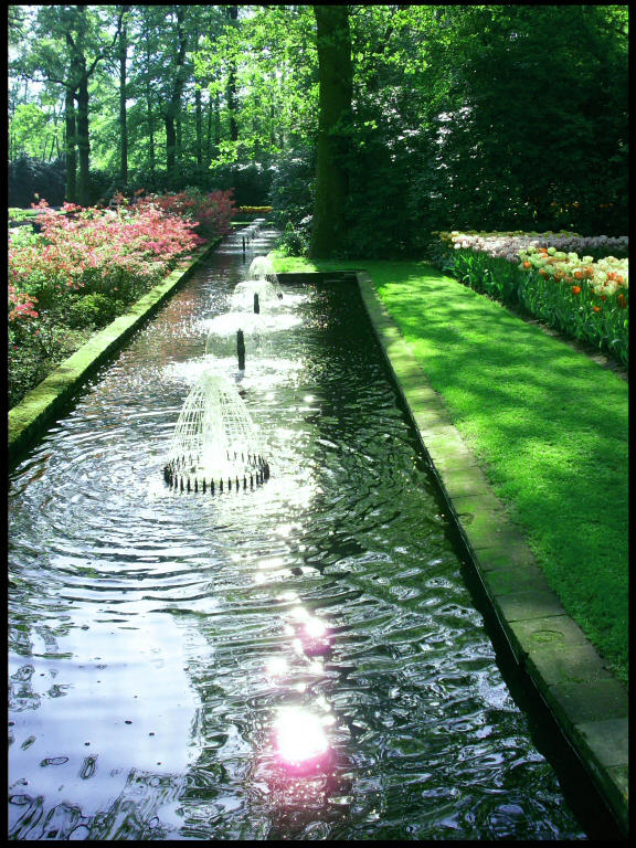 Garden Photography by valaMS