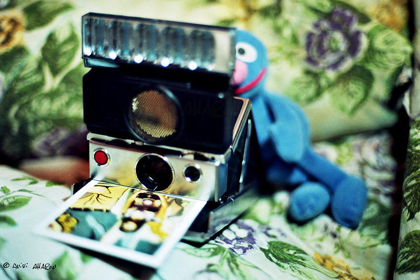 Grover SX70 by avivi