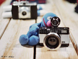 Grover Lomo by avivi