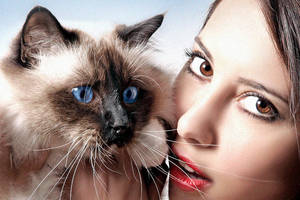 Sacre de Birmanie by abclic