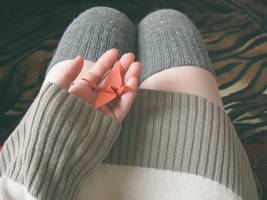 all we ever see of stars are their old photographs by Mirrelley