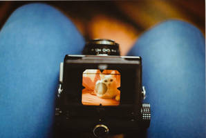 old camera by Mirrelley