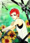 Sunflower boy by tranmai