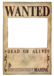 One Piece Wanted Poster by ei819