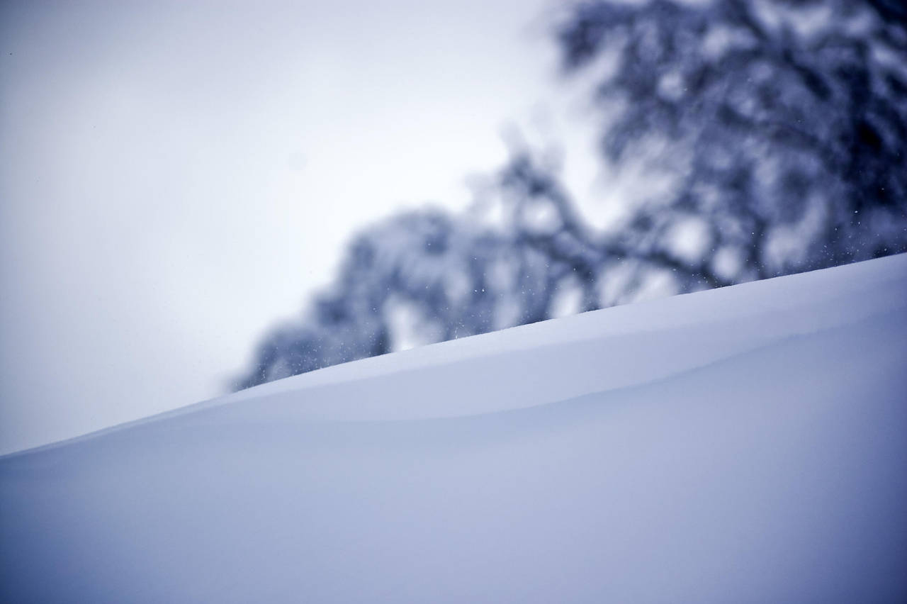 Morning Powder by Warpfuz
