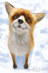 Gift - the fox of wondrous faces by queenofeagles